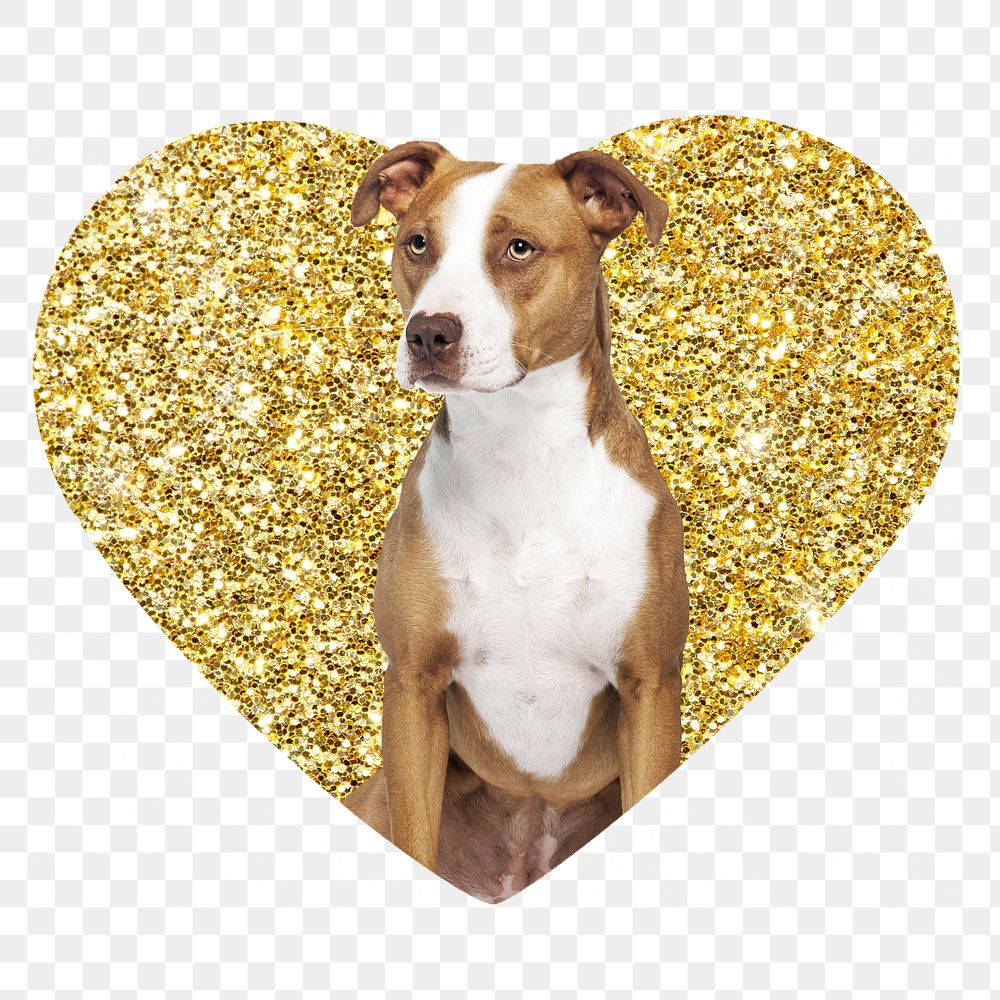 Png Pit bull terrier dog badge sticker, gold glitter heart shape, transparent background