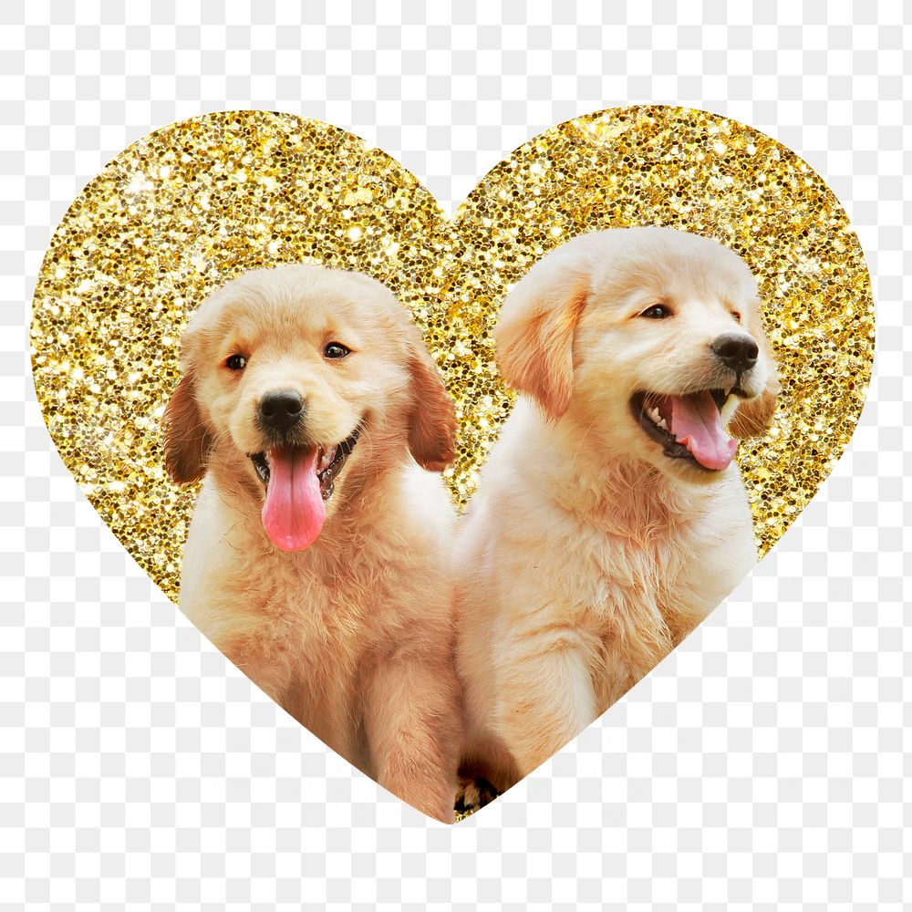 Png Golden retriever puppies badge sticker, gold glitter heart shape, transparent background