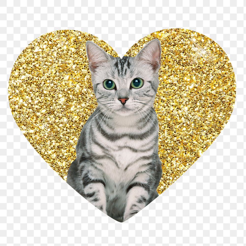Png American shorthair cat  badge sticker, gold glitter heart shape, transparent background
