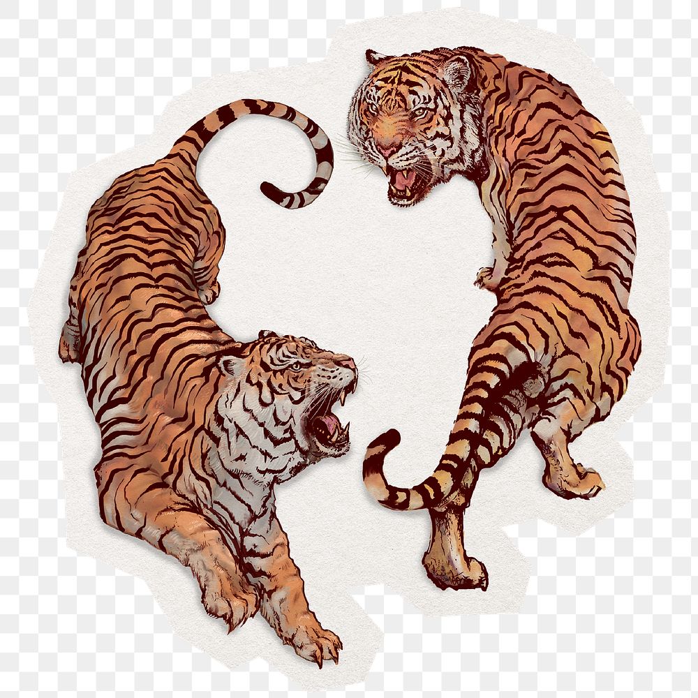 PNG tiger sticker, animal illustration clipart in transparent background