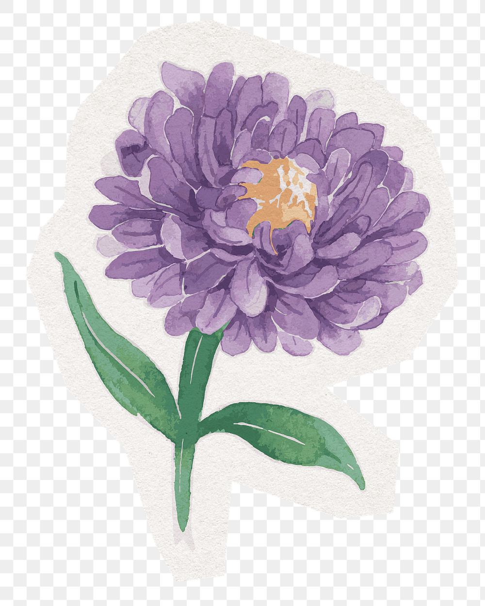 PNG flower sticker, watercolor illustration in transparent background