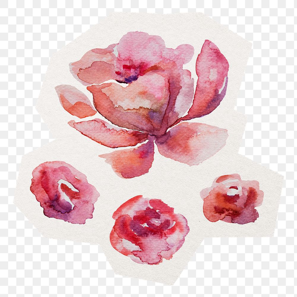 Red flower png sticker, watercolor illustration in transparent background