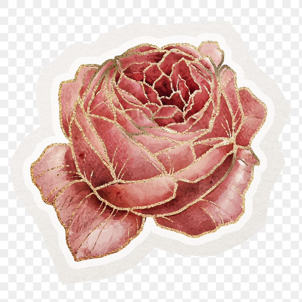 PNG cabbage rose sticker, aesthetic gold decoration in transparent background