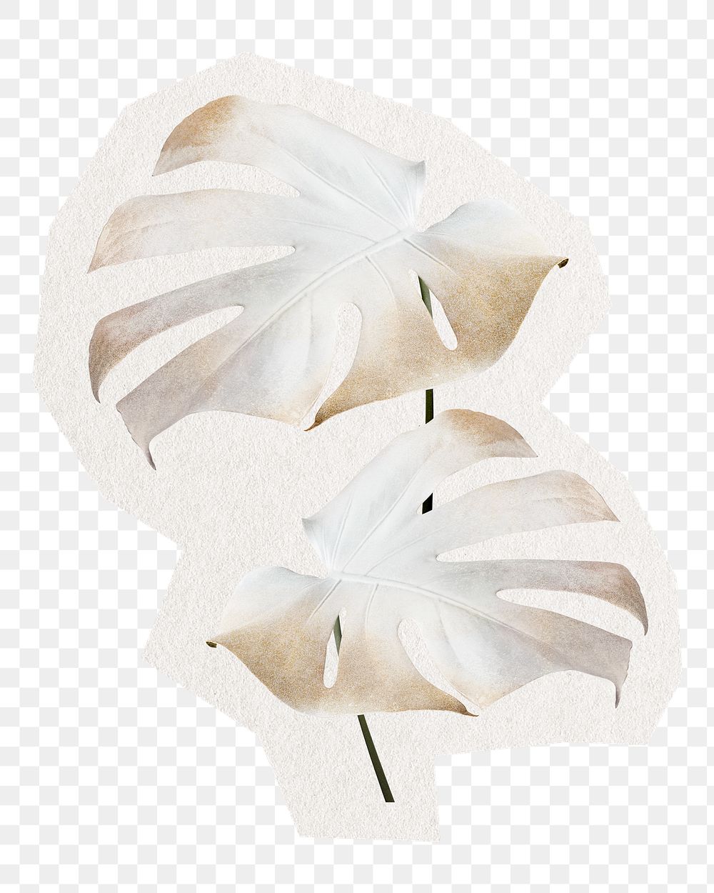 PNG aesthetic monstera sticker, transparent background