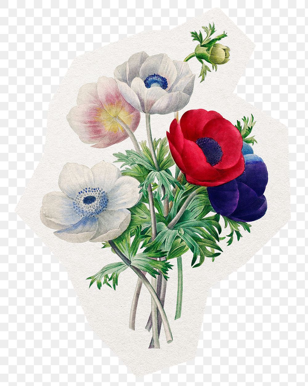 Flower png bouquet sticker, watercolor illustration in transparent background