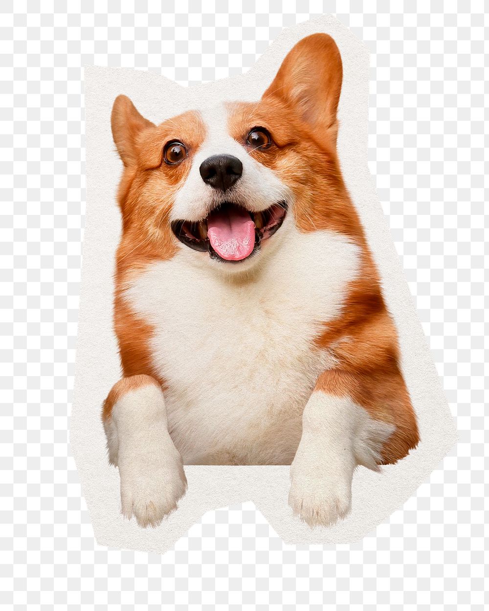 PNG cute Corgi dog sticker, collage element in transparent background