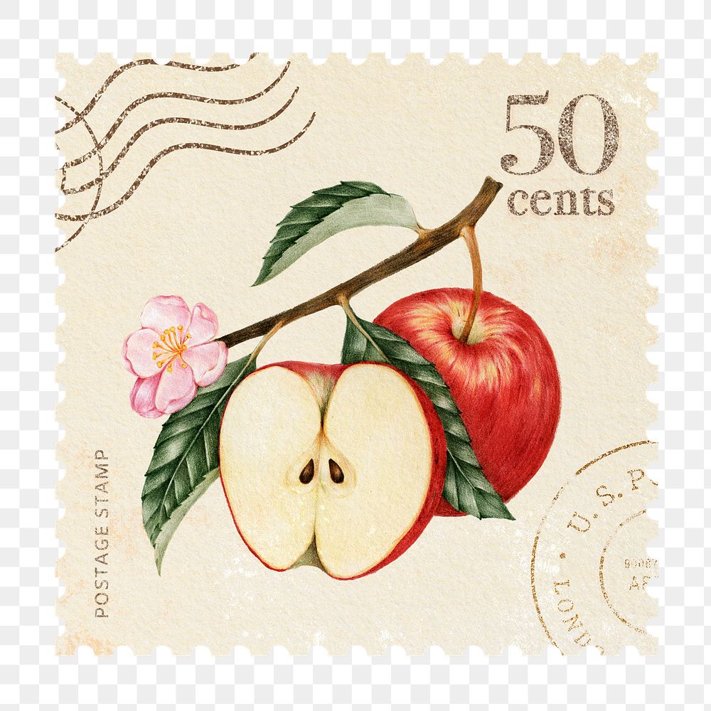 Png apples postage stamp sticker, vintage illustration, transparent background