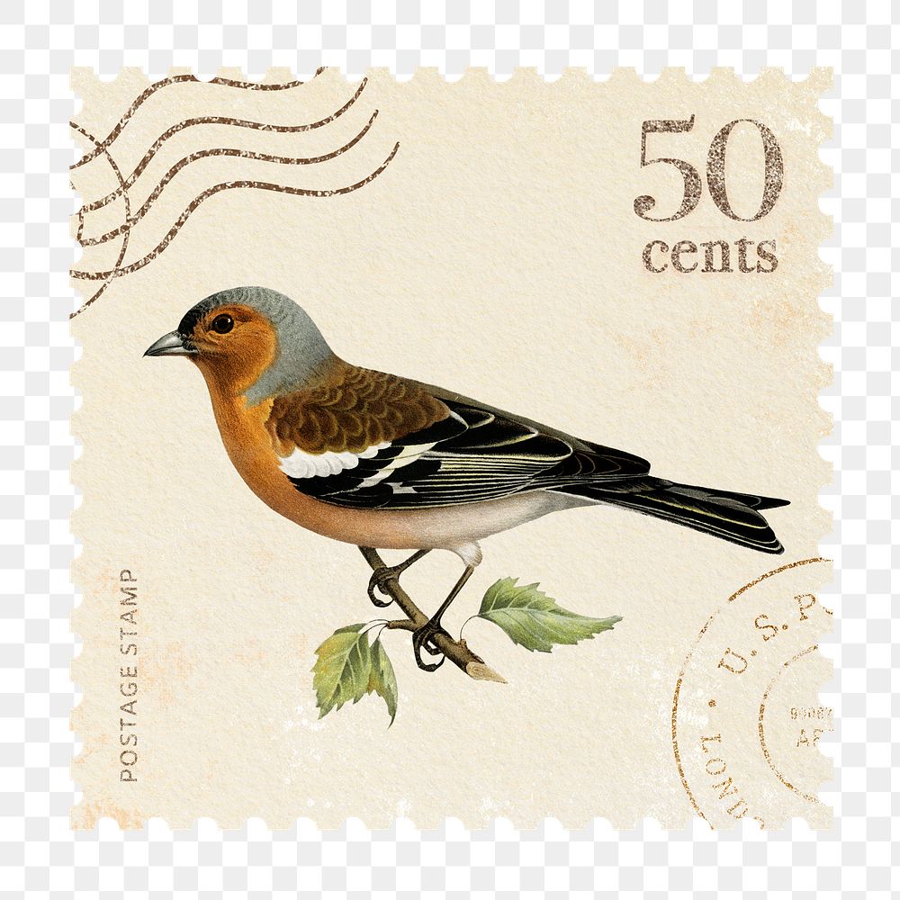 Bird png postage stamp sticker, hand drawn, transparent background