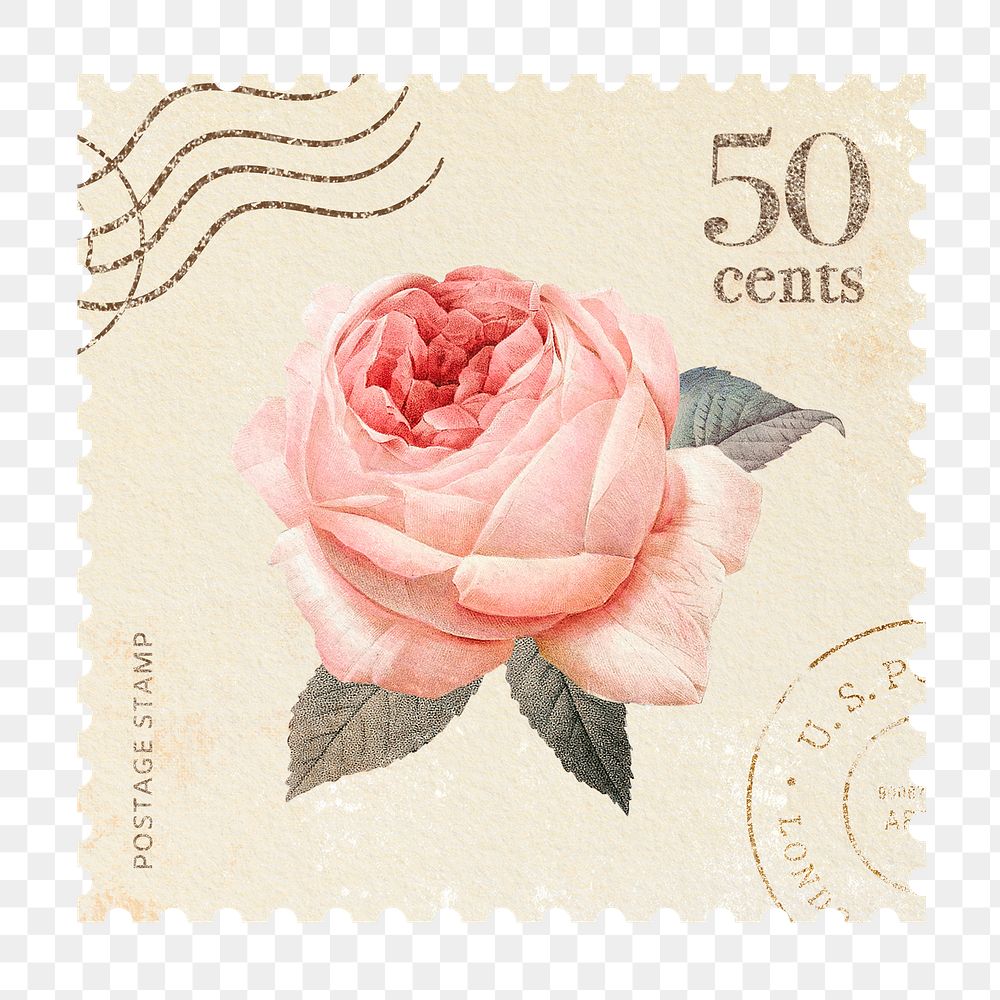 Rose png postage stamp sticker, watercolor illustration, transparent background