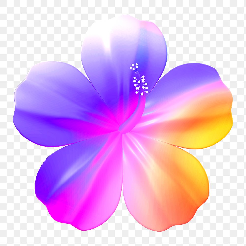 Colorful hibiscus png sticker, 3D rendering, transparent background