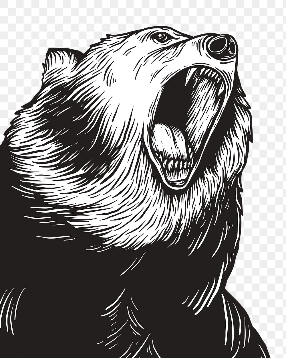 Bear roaring png sticker, animal transparent background