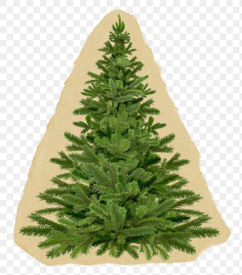 Christmas tree png sticker, winter holiday torn paper, transparent background