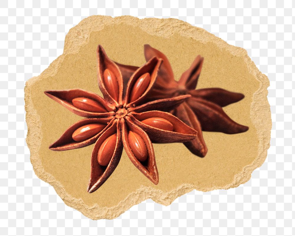 Star anise png sticker, ripped paper, transparent background