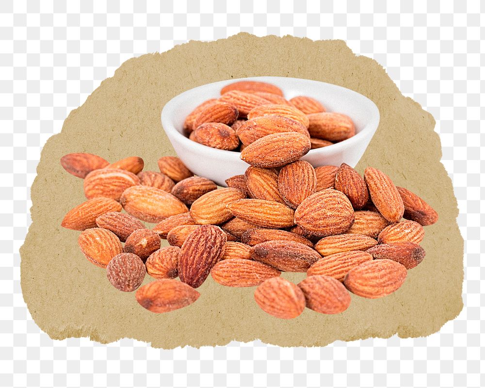 Organic almonds png sticker, ripped paper, transparent background