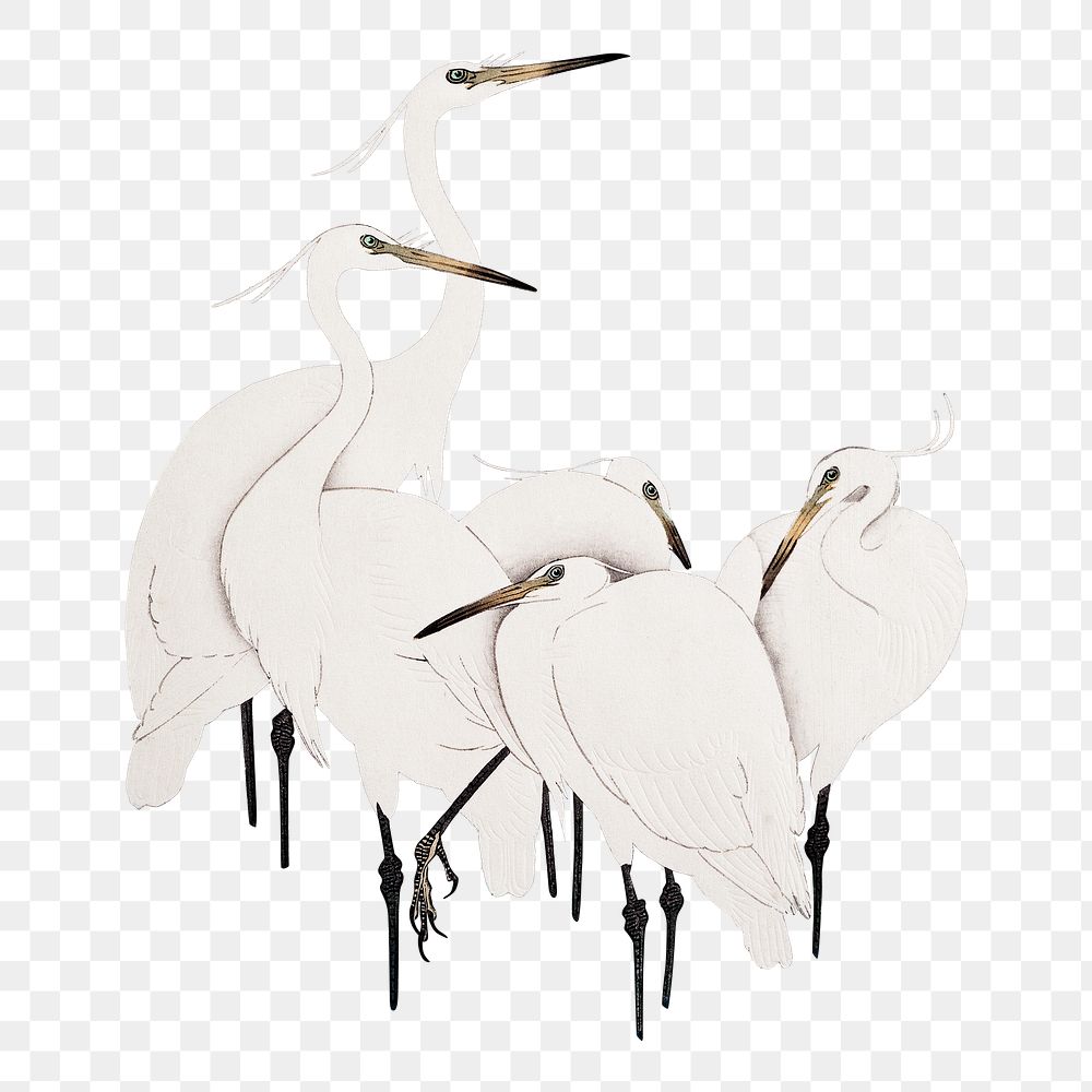 Png Ohara Koson's egret sticker, bird vintage illustration, transparent background