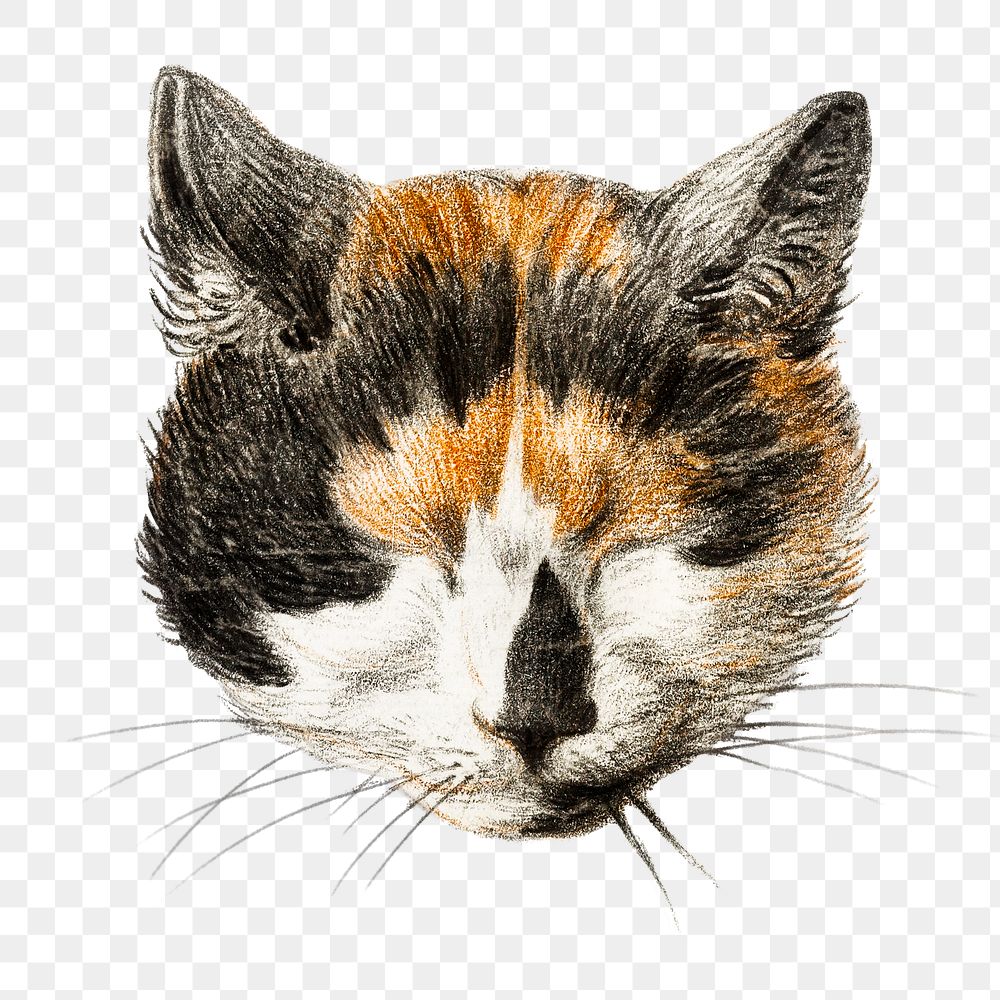 Png cat's head with closed eyes sticker, Jean Bernard's vintage illustration, transparent background