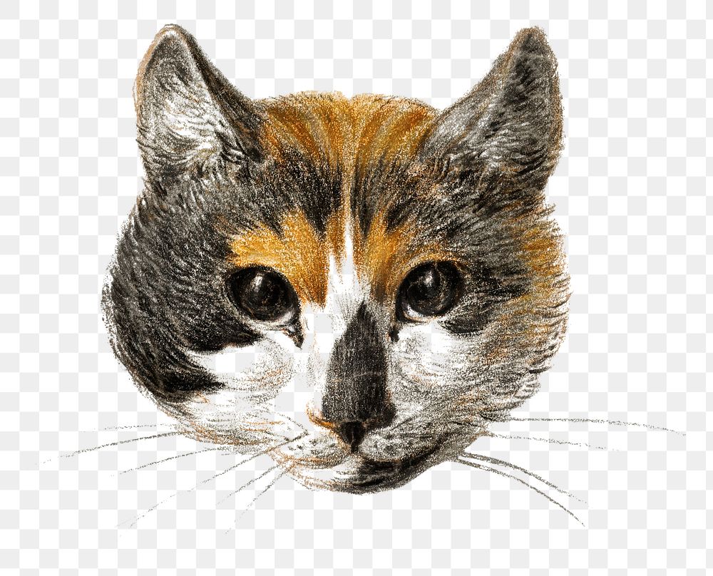 Png cat's head sticker, Jean Bernard's vintage illustration, transparent background