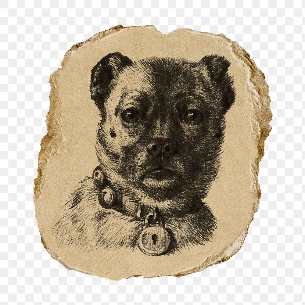 Dog png sticker, vintage artwork, transparent background, ripped paper badge