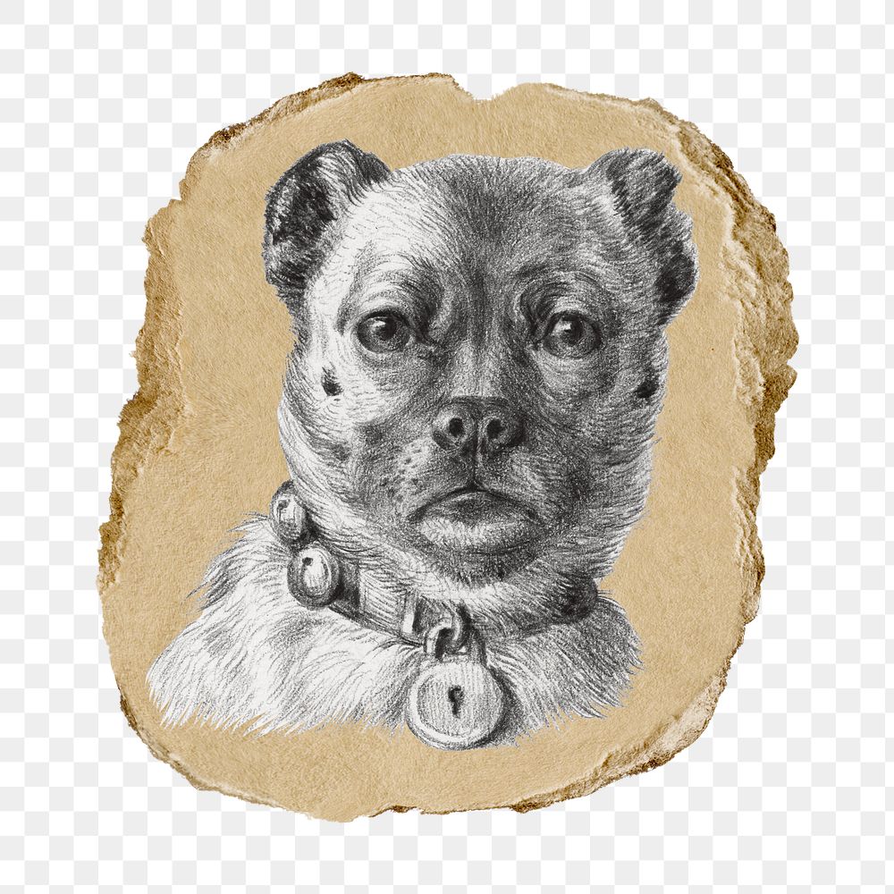 Dog png sticker, vintage artwork, transparent background, ripped paper badge