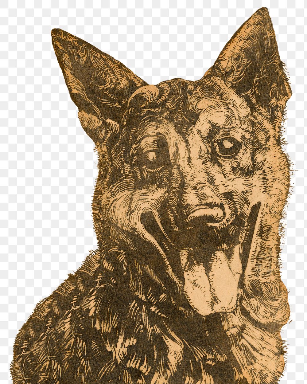 Png Dick Ket's dog sticker, pet vintage illustration, transparent background