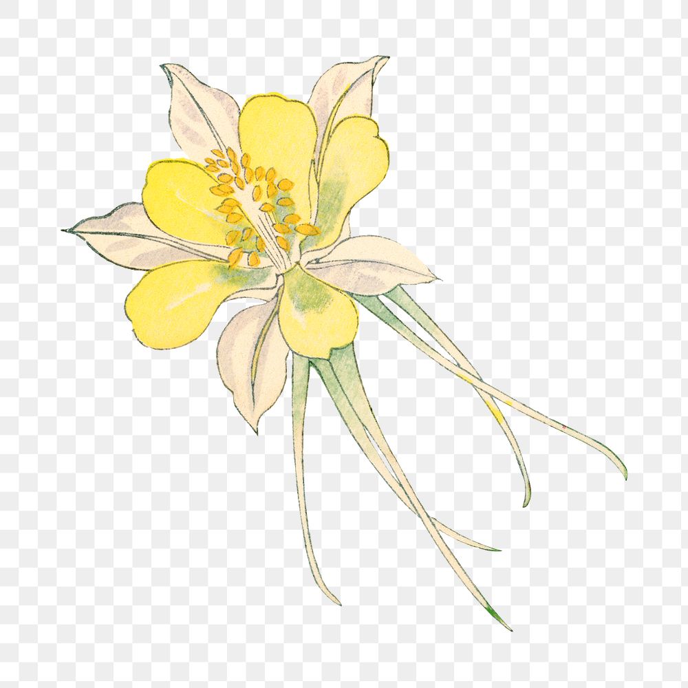 Columbine flower png sticker, Japanese ukiyo e art, transparent background