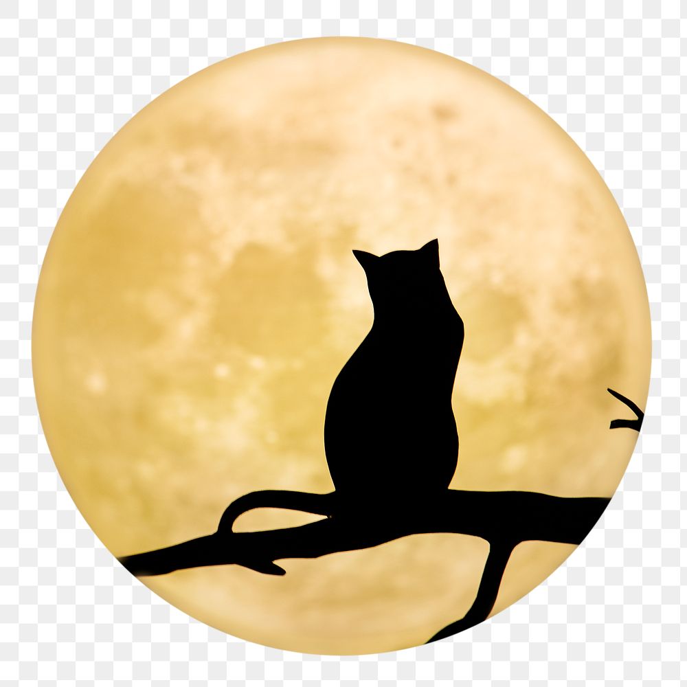 Cat silhouette png sticker, full moon cut out, transparent background