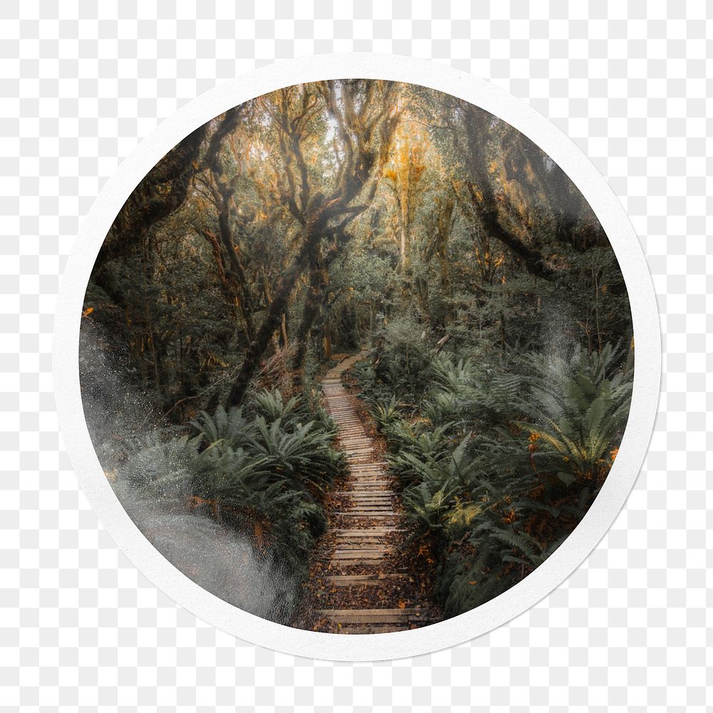 Forest pathway png sticker, nature in circle frame, transparent background