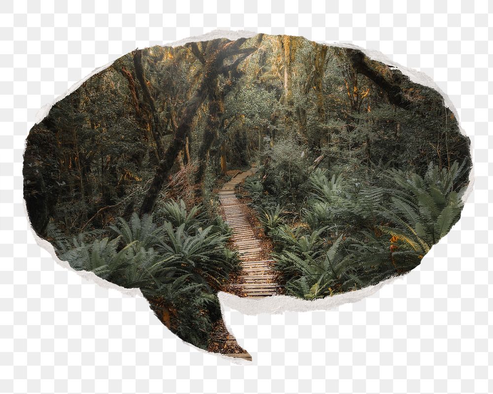 Forest pathway png nature sticker, ripped paper speech bubble, transparent background