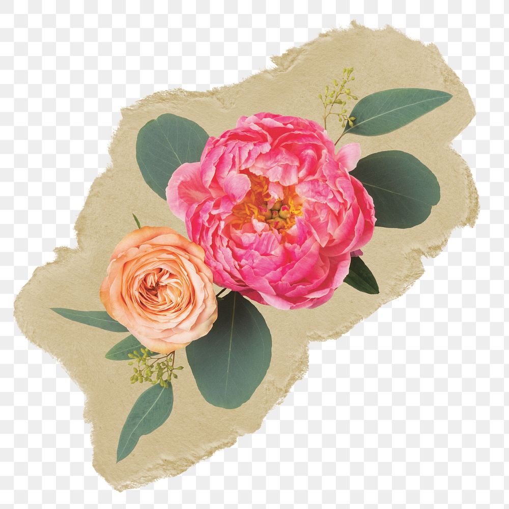 Rose flowers png sticker, ripped paper, transparent background