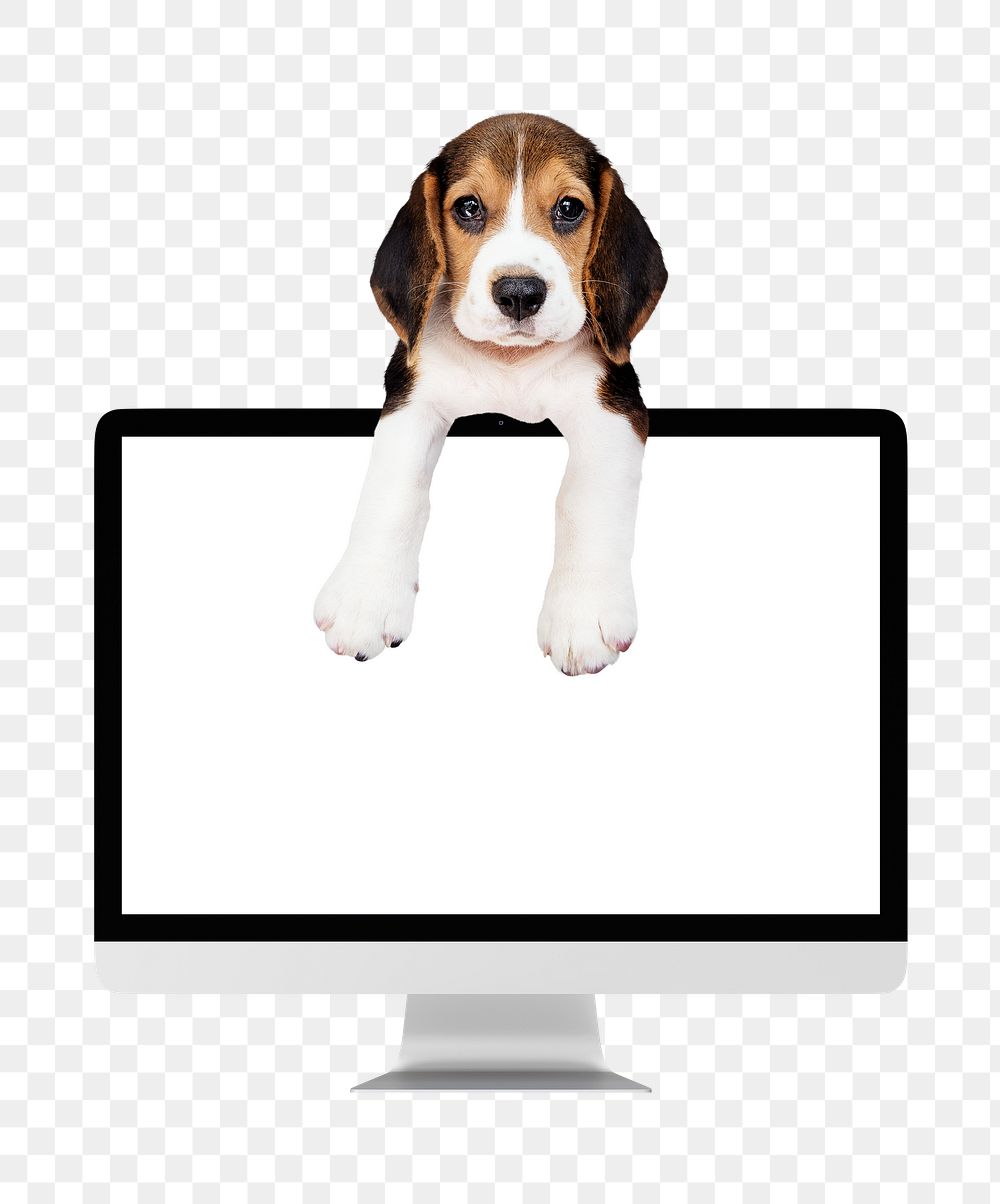 Computer screen png puppy sticker, transparent background