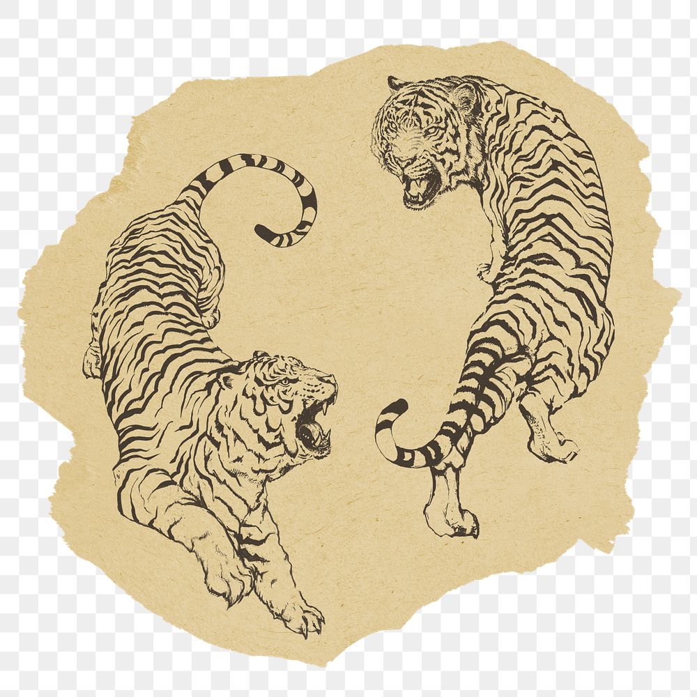 Roaring tigers png sticker, ripped paper on transparent background