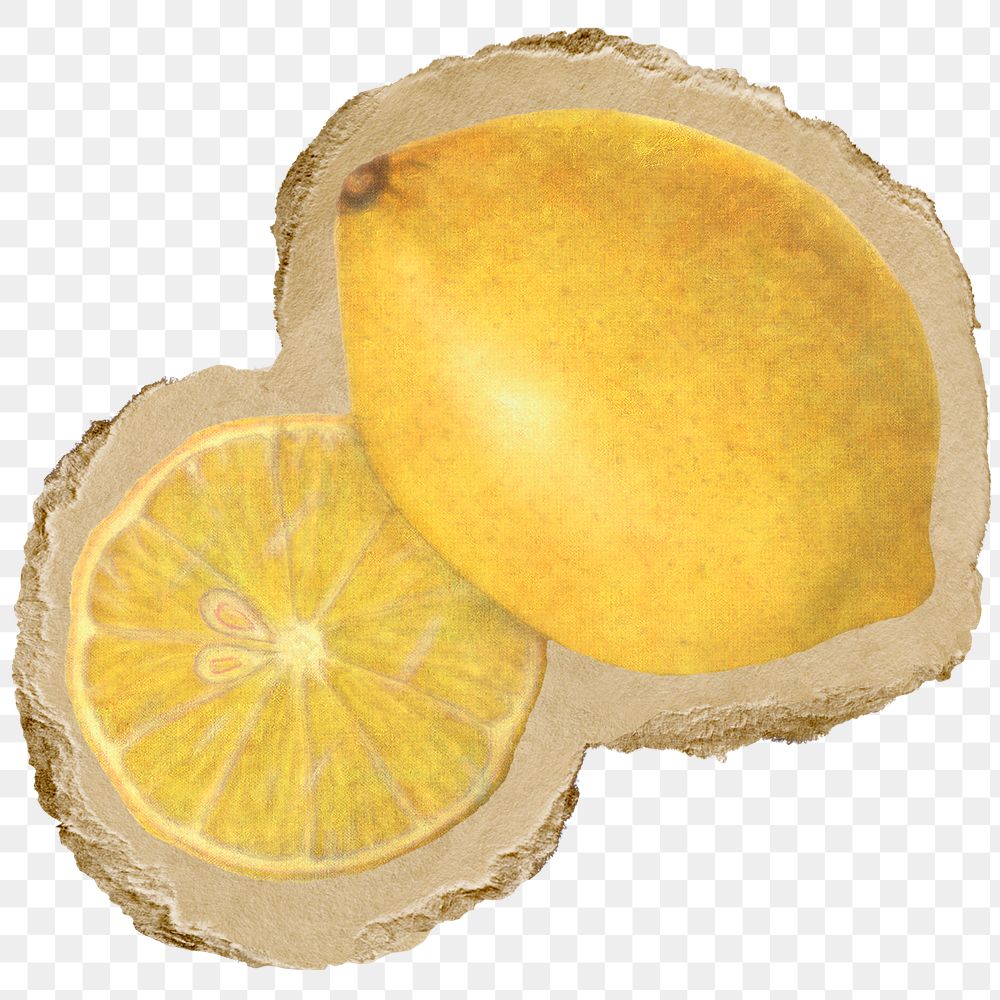 Lemon, fruit png sticker, ripped paper, transparent background