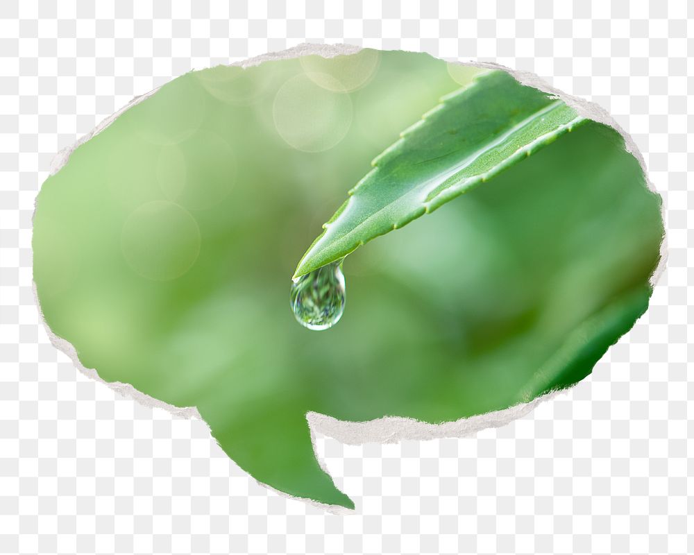Water drop png leaf environment sticker, ripped paper speech bubble, transparent background