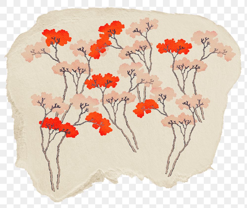 Aesthetic flower illustration png sticker, ripped paper, transparent background