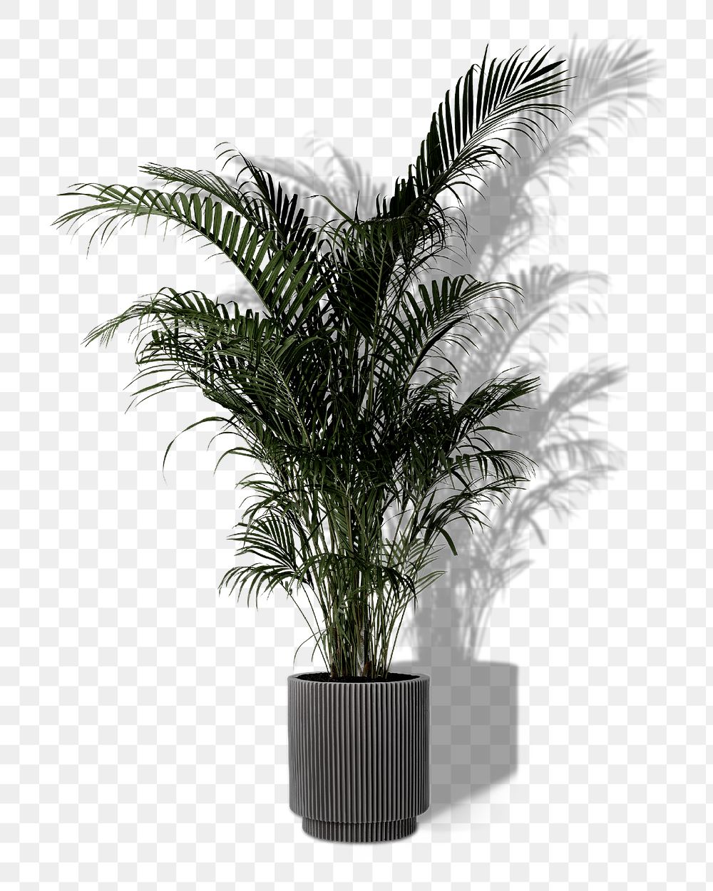 Palm tree png, houseplant in gray pot, transparent background
