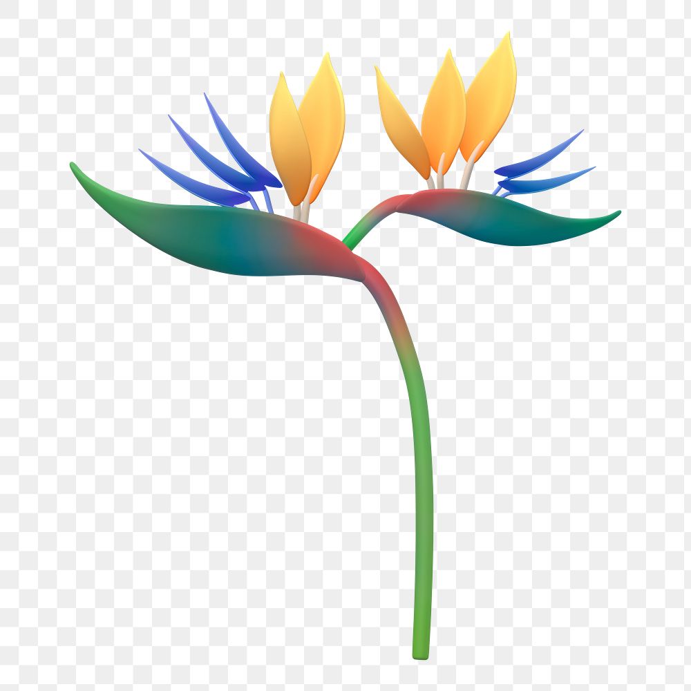 Bird of paradise png sticker, botanical 3D cartoon transparent background