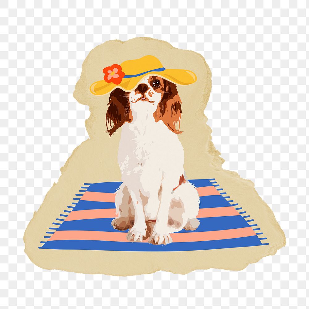 Cavalier King dog png sticker, ripped paper, transparent background