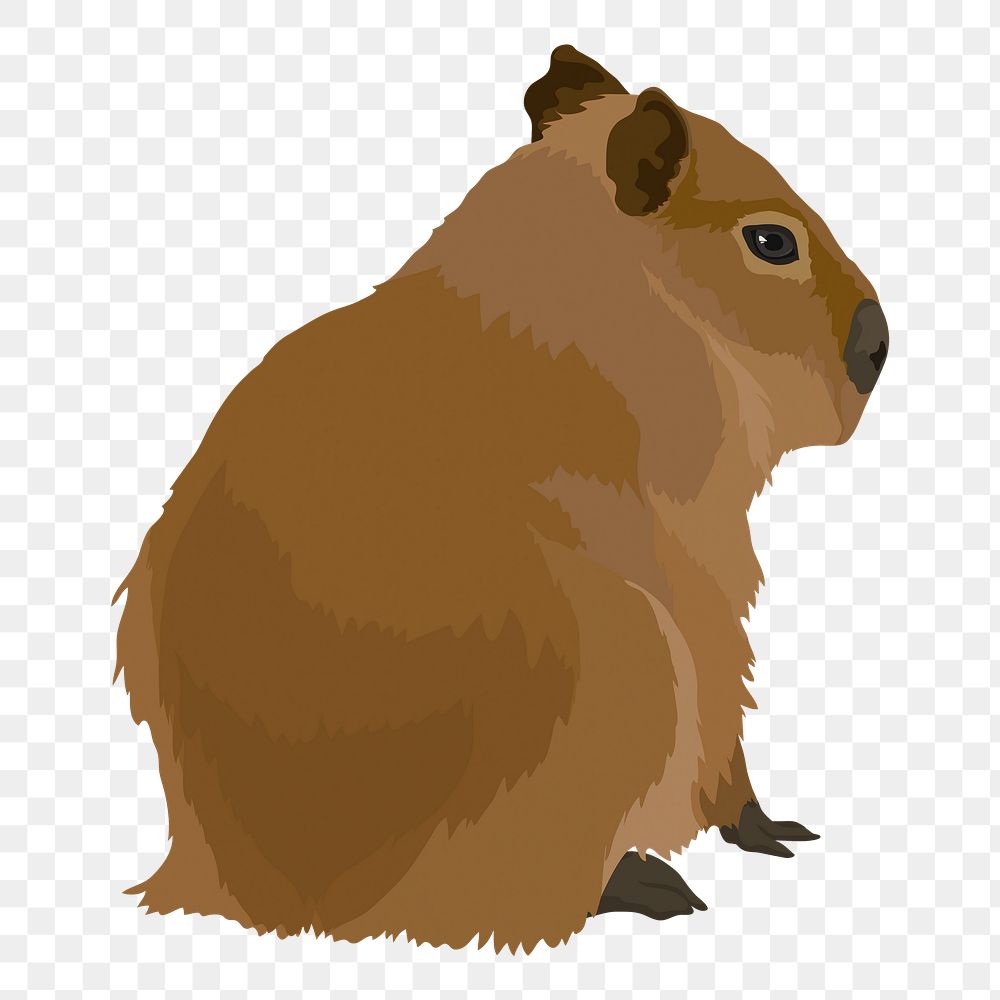 Water hog png sticker, capybara animal illustration, transparent background