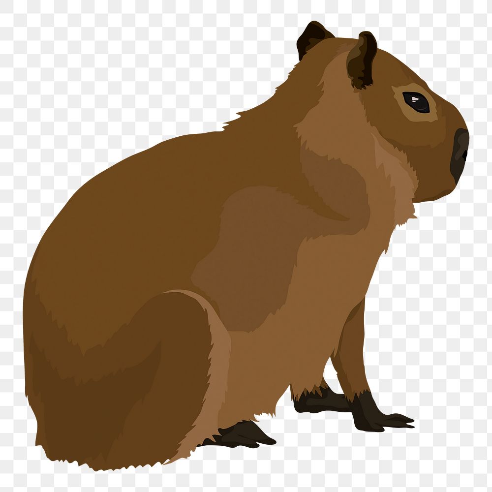 Water hog png, capybara animal illustration, sticker in transparent background