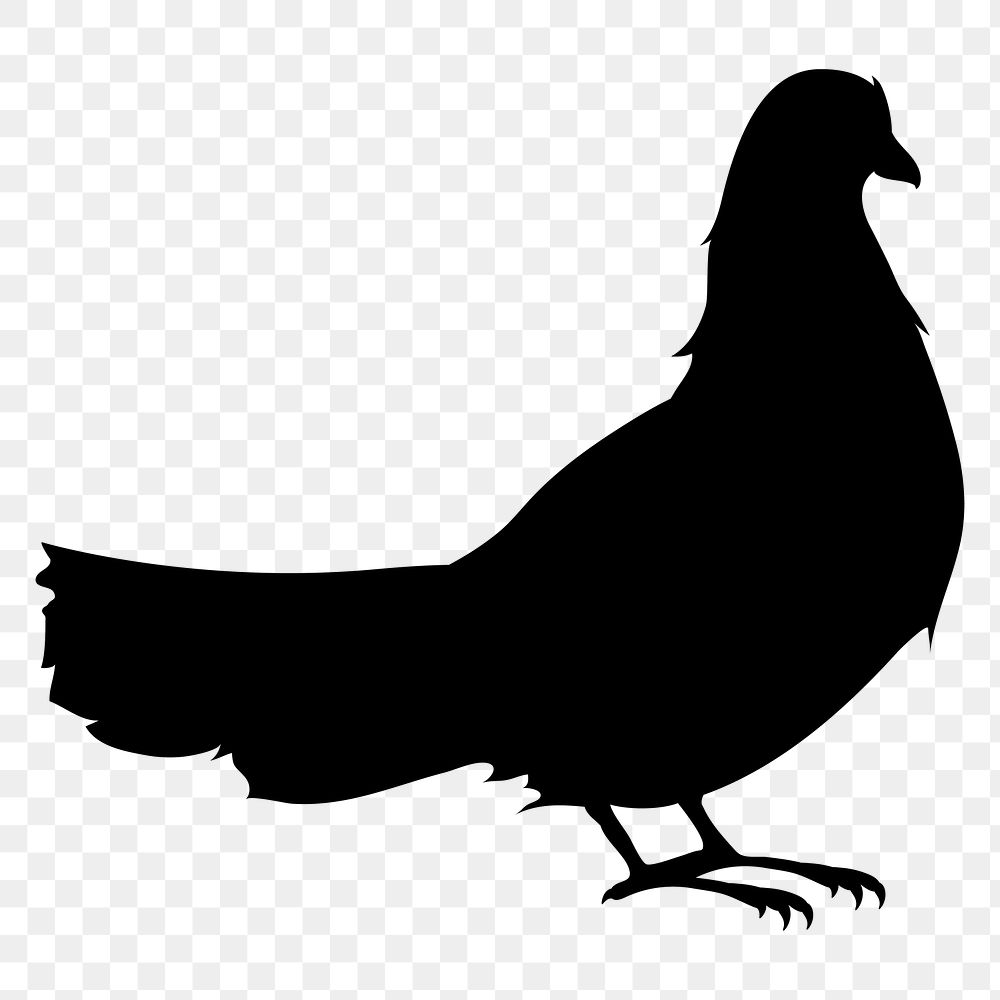PNG bird silhouette illustration sticker, transparent background