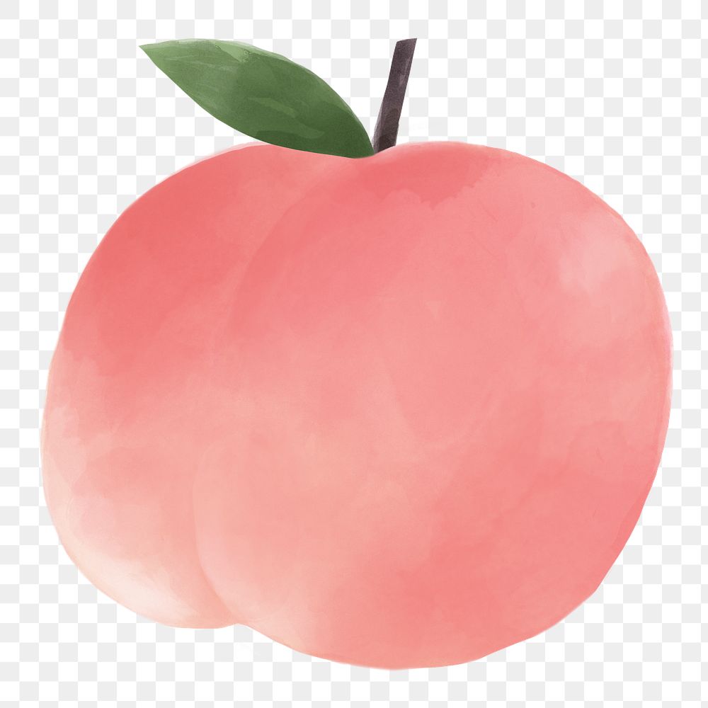 Cute peach png sticker, watercolor design in transparent background