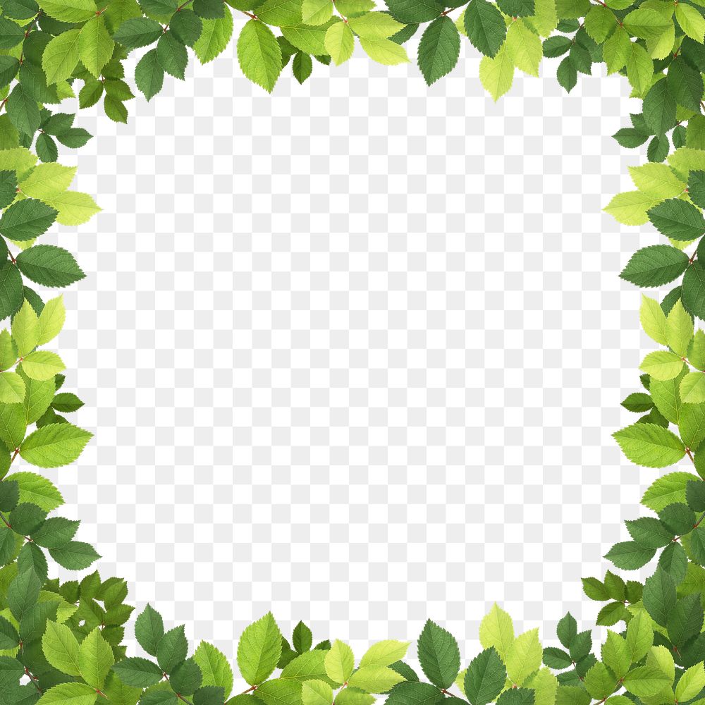 Green leaf png frame sticker, transparent background