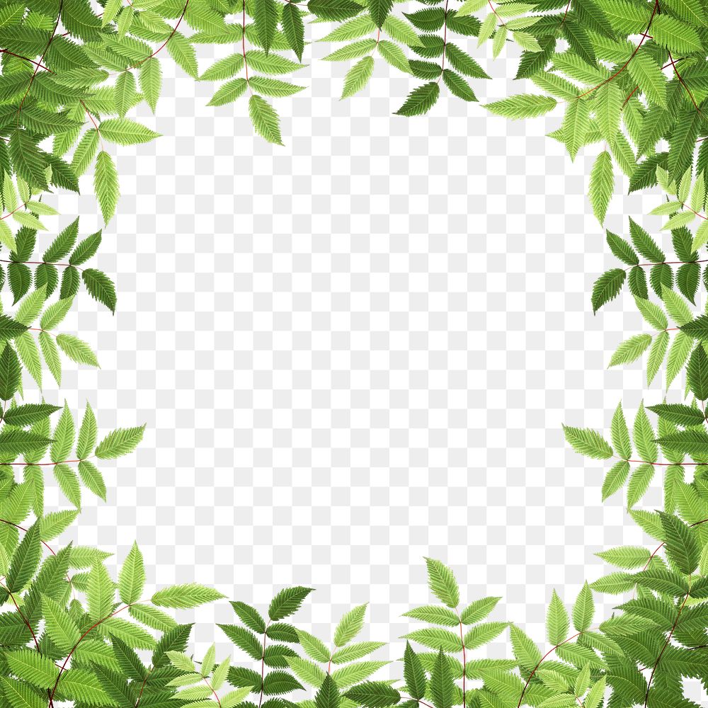 Green leaf png frame sticker, transparent background
