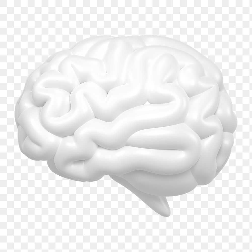 White brain png icon sticker, 3D rendering, transparent background