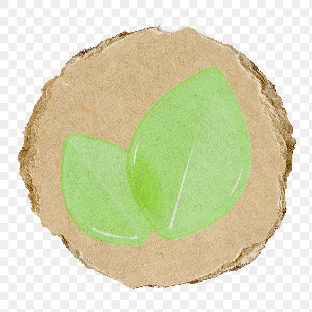 Leaf, environment png icon sticker, ripped paper badge, transparent background