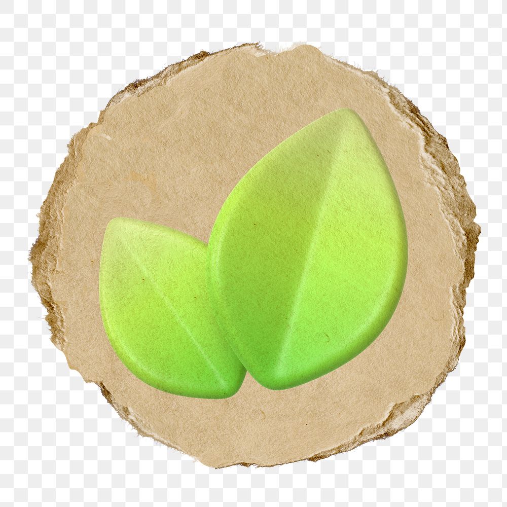 Green leaf, environment png icon sticker, ripped paper badge, transparent background