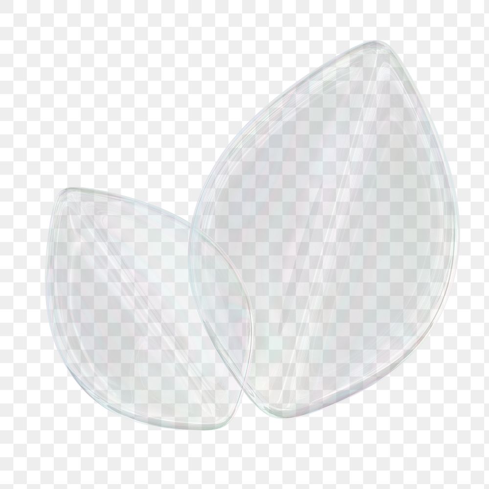 Transparent leaf png, environment icon sticker, 3D rendering