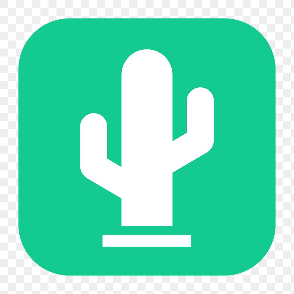 Cactus png sticker, flat square icon, transparent background