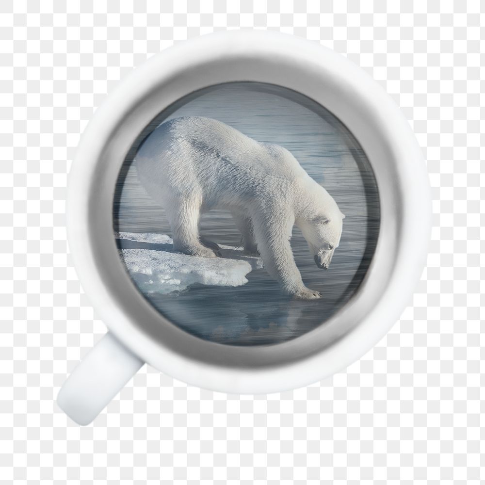 Polar bear png sticker, cup, circle shape remixed media design, transparent background