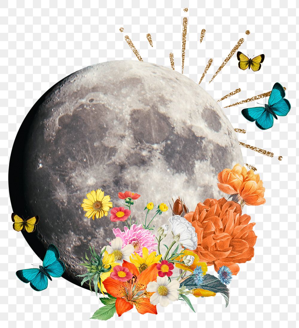Surreal floral moon png sticker, space on transparent background